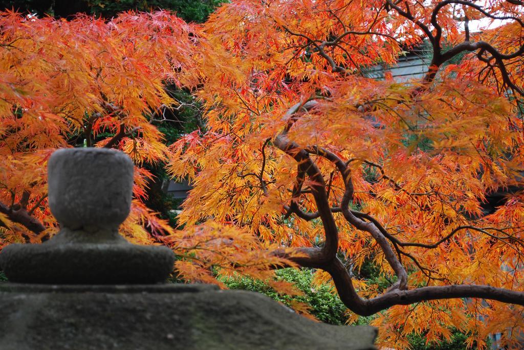 Nishiki-No-Yu Jimotoya Matsumoto Exterior foto